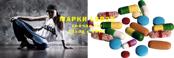 шишки Арсеньев