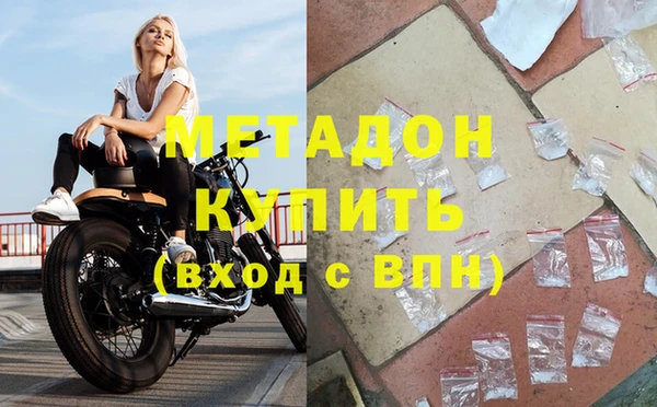 шишки Аркадак