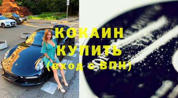шишки Арсеньев