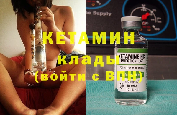 шишки Арсеньев