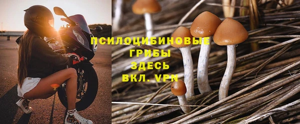 шишки Аркадак