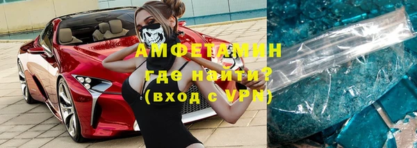 шишки Арсеньев