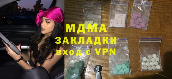 шишки Арсеньев