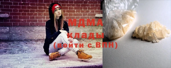 шишки Арсеньев