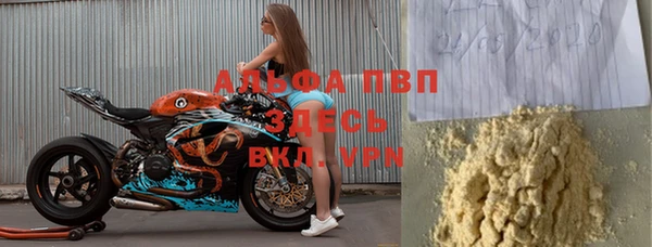 шишки Арсеньев