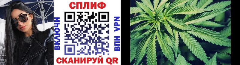 Канабис Bruce Banner Спасск